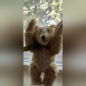 Mohair Teddy Harrods